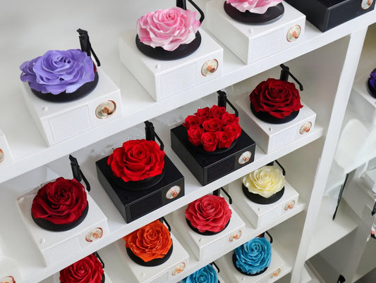 Choosing Rose Colors: The Enduring Beauty of Forever Roses - Imaginary Worlds