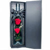 Everlasting Rose Bottle - Timeless Beauty