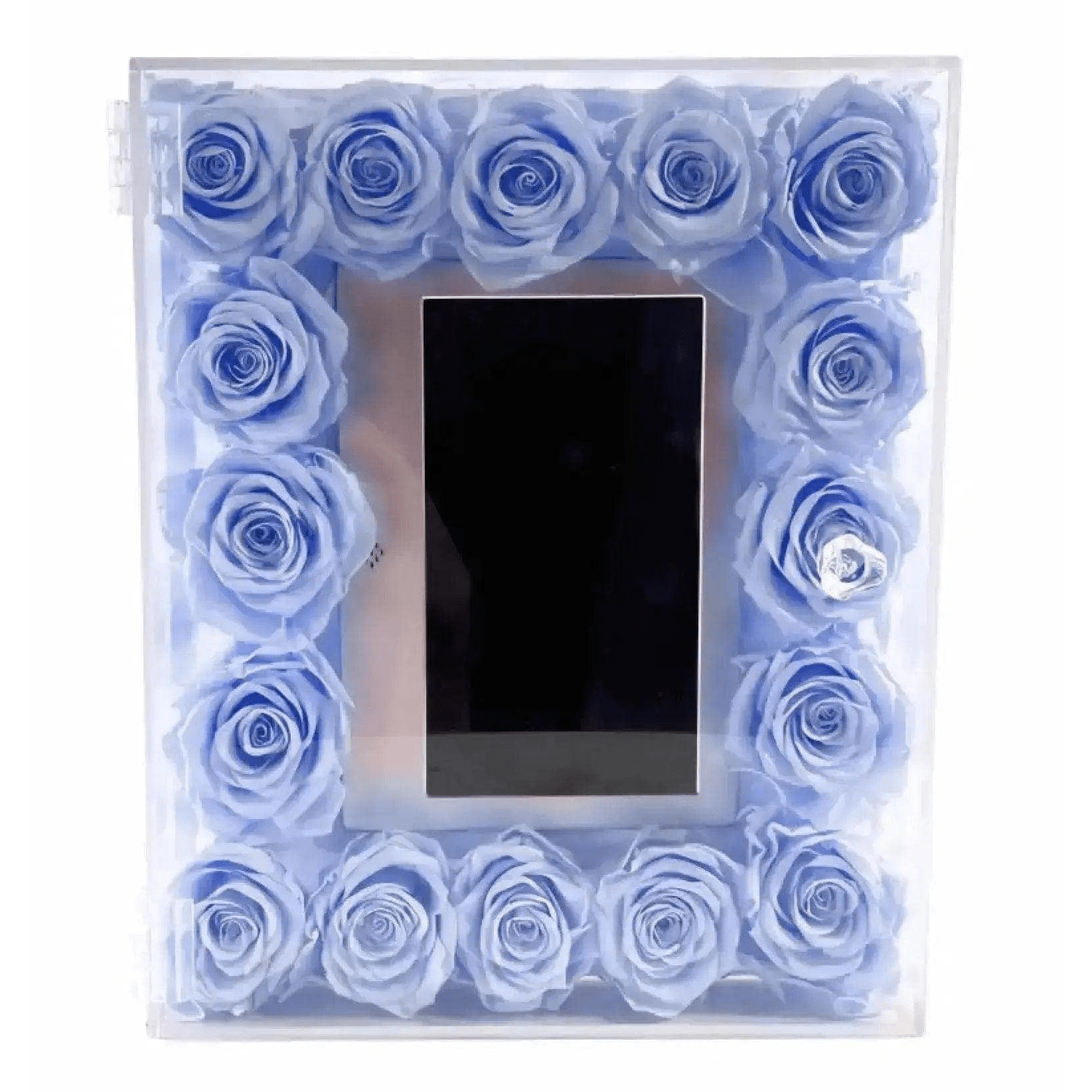 Forever Roses Digital Rose Box Frame - Imaginary Worlds