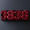 Angel Number 3838 Rose Box - Imaginary Worlds