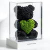Black Rose Bear with Green Roses Heart - Imaginary Worlds