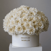 Chrysanthemum box - Imaginary Worlds