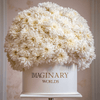 Chrysanthemum box - Imaginary Worlds