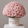 Chrysanthemum box - Imaginary Worlds
