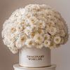 Chrysanthemum box - Imaginary Worlds