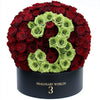 Customized Ramo Buchon Collection - Imaginary Worlds