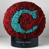 Customized Ramo Buchon Collection - Imaginary Worlds