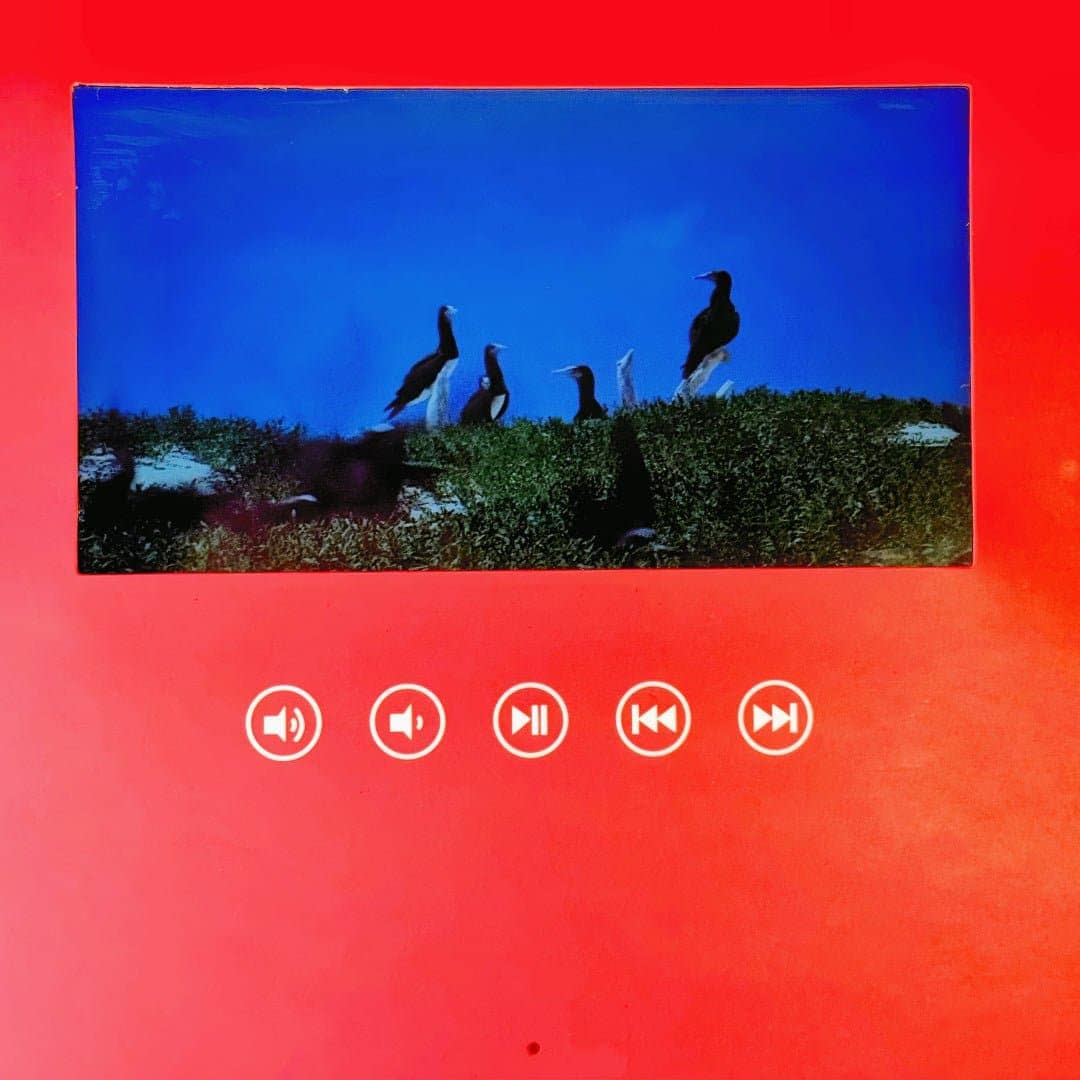 Eternal Serenade Digital Rose Display Box - Imaginary Worlds