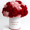 Forever Carnation Box – Red & Pink Edition - Imaginary Worlds