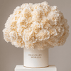 Forever Carnation Box – White Edition - Imaginary Worlds