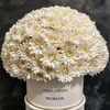 Forever Chrysanthemum Box – White Edition - Imaginary Worlds