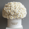 Forever Chrysanthemum Box – White Edition - Imaginary Worlds