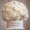 Forever Chrysanthemum Box – White Edition - Imaginary Worlds