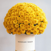 Forever Chrysanthemum Box – Yellow Edition - Imaginary Worlds
