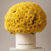 Forever Chrysanthemum Box – Yellow Edition - Imaginary Worlds