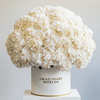 Forever Hydrangea Box – White Edition - Imaginary Worlds