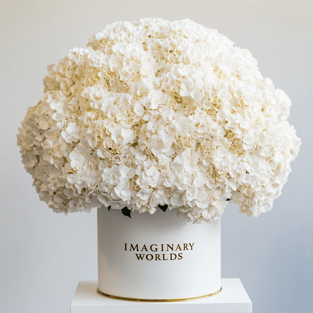 Forever Hydrangea Box – White Edition - Imaginary Worlds