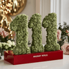 Green Roses 111 Rose Box - Imaginary Worlds