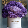 Hydrangea box - Imaginary Worlds