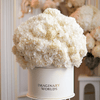 Hydrangea box - Imaginary Worlds