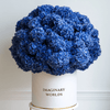 Hydrangea box - Imaginary Worlds