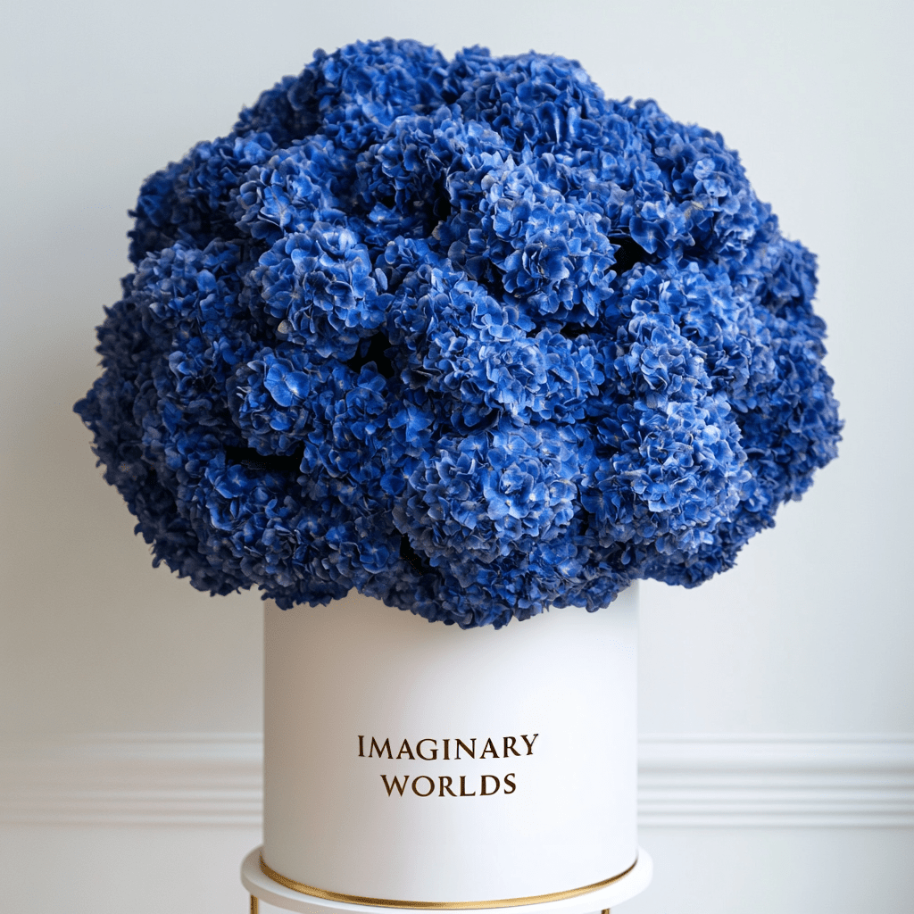 Hydrangea box - Imaginary Worlds