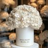 Hydrangea box - Imaginary Worlds