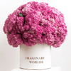 Hydrangea box - Imaginary Worlds