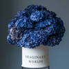 Hydrangea box - Imaginary Worlds
