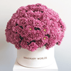 Hydrangea box - Imaginary Worlds