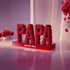 PAPA Rose Box Sculpture - Imaginary Worlds