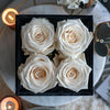 Quartet of White Forever Roses in Black Velvet Box - Imaginary Worlds