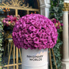 Ramo Buchón Monochrome Elegance - Imaginary Worlds