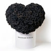 Ramo Buchón Monochrome Heart - Imaginary Worlds
