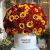 Sunflower rose box - Imaginary Worlds