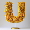 Urania Yellow Rose Letter U Lamp