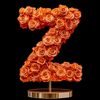 Zephyr Orange Rose Letter Z Lamp