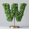 Winds Green Rose Letter W Lamp - Imaginary Worlds