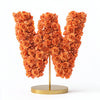 Windsor Orange Rose Letter W Lamp - Imaginary Worlds