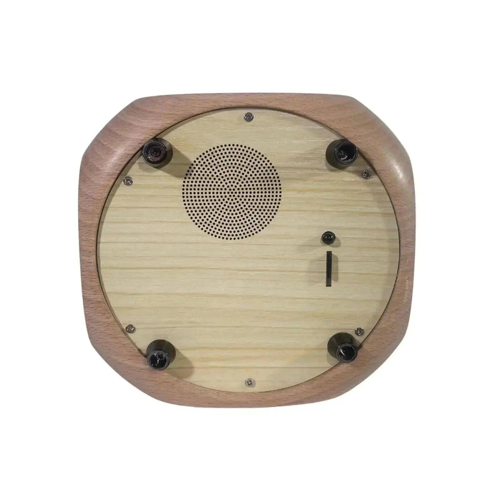 360° Rotating Lighted Rose Speaker - Imaginary Worlds