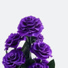 9 Purple Rose Set - Imaginary Worlds