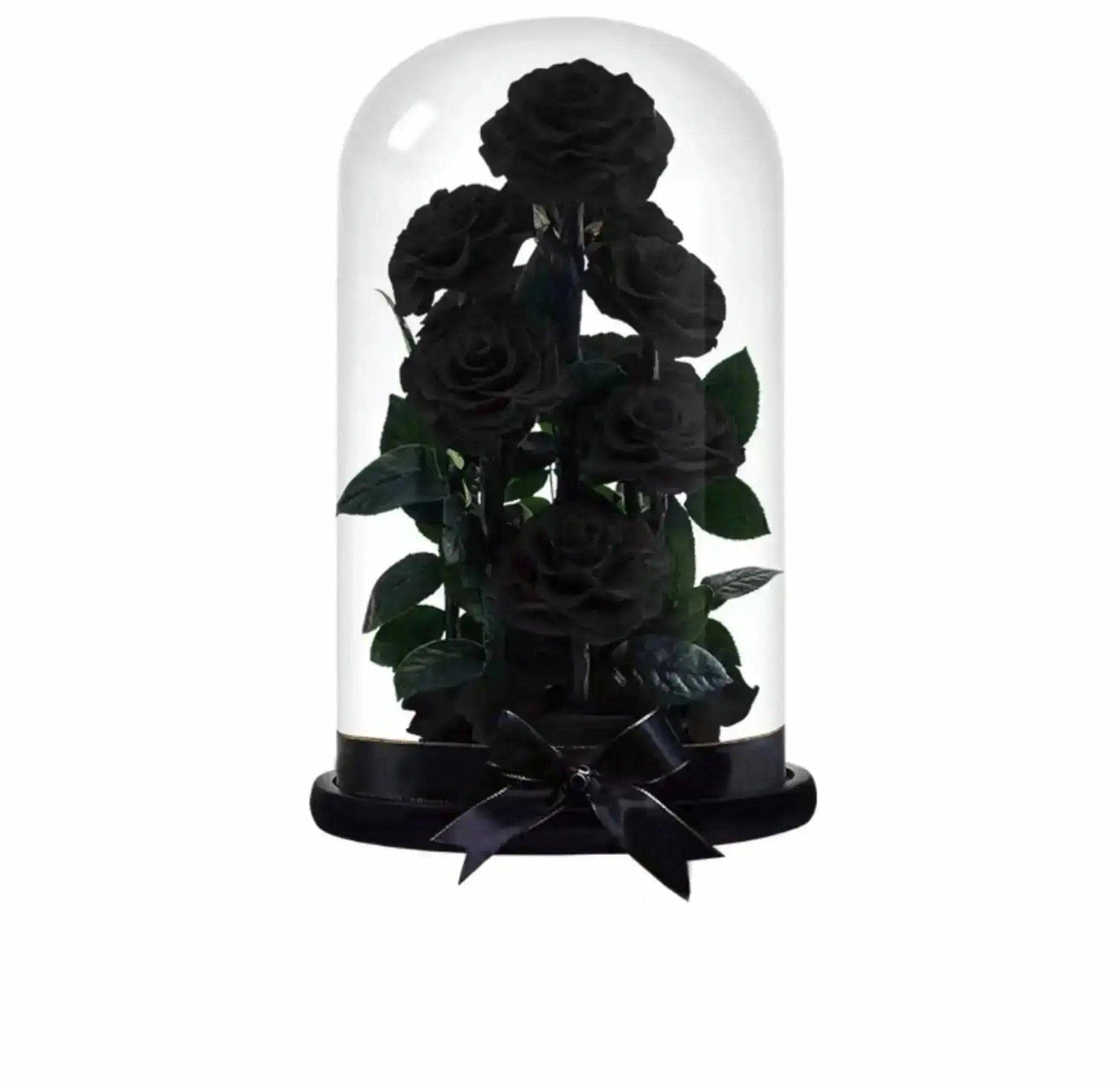 9 Purple Rose Set - Imaginary Worlds