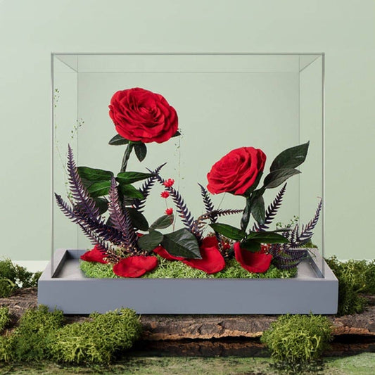 Dual Rose Affinity - Imaginary Worlds