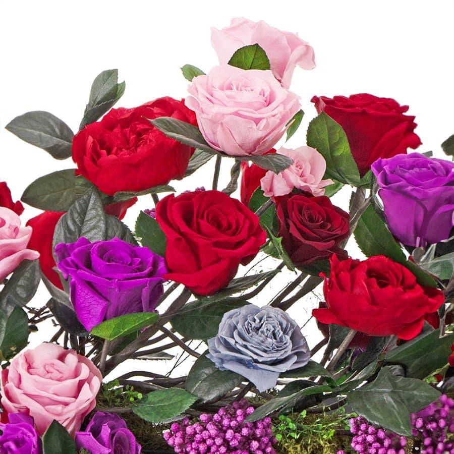 Kaleidoscope Rose Ensemble - Imaginary Worlds