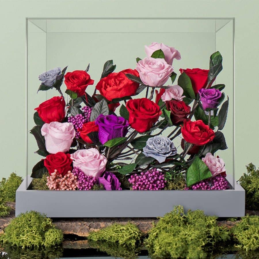 Kaleidoscope Rose Ensemble - Imaginary Worlds