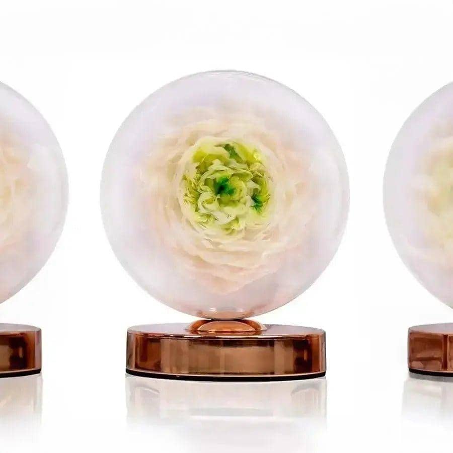Luminous Austin Rose Flower Lamp - Imaginary Worlds