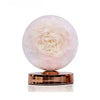 Luminous Austin Rose Flower Lamp - Imaginary Worlds