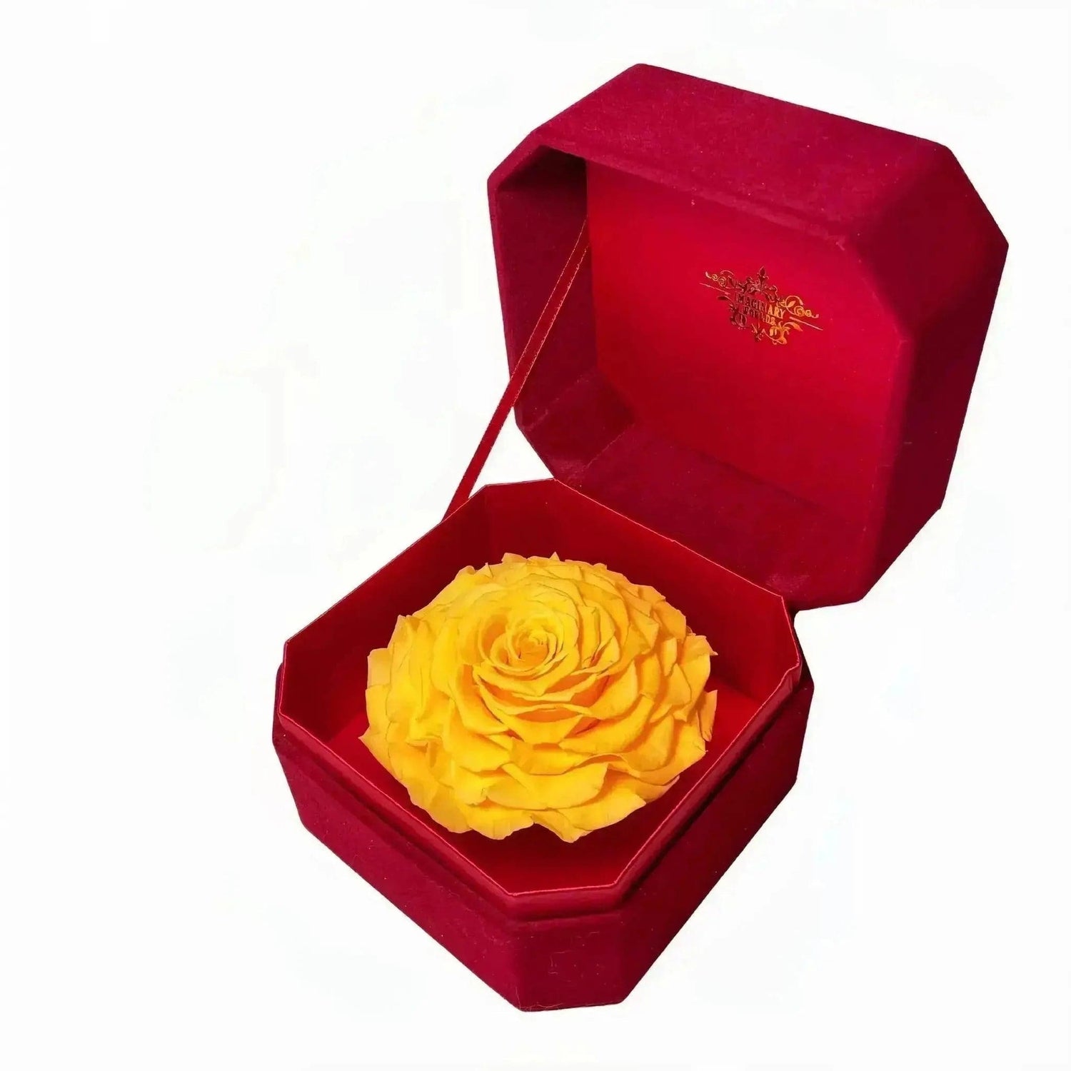 Yellow Rose Box Collection