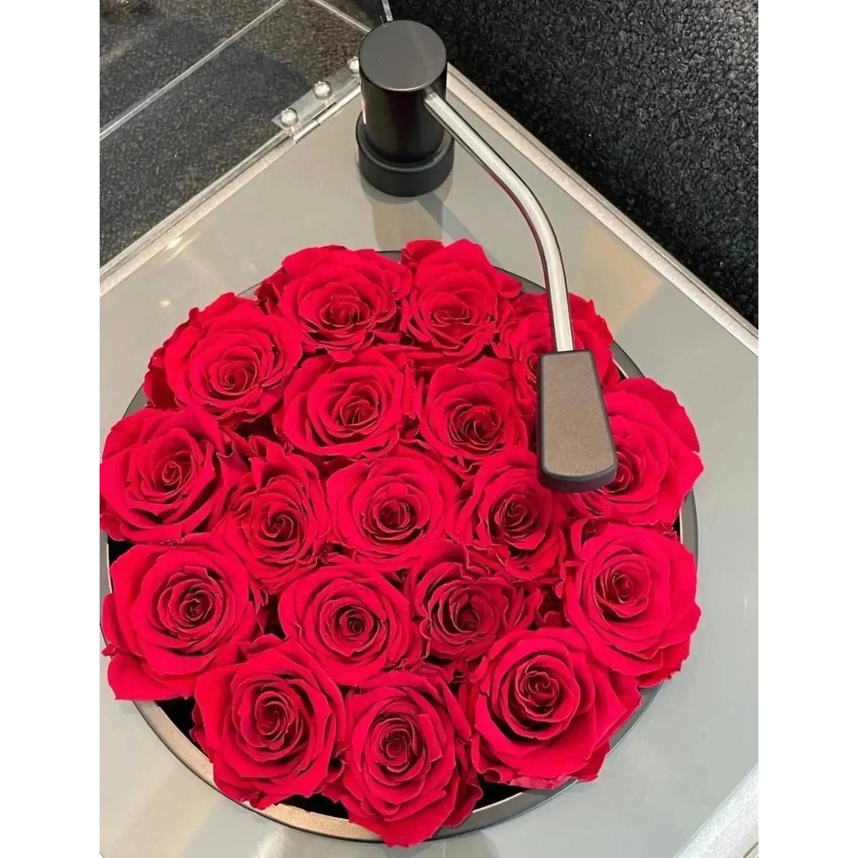 RoseTunes Forever Roses Bluetooth Speaker - Imaginary Worlds