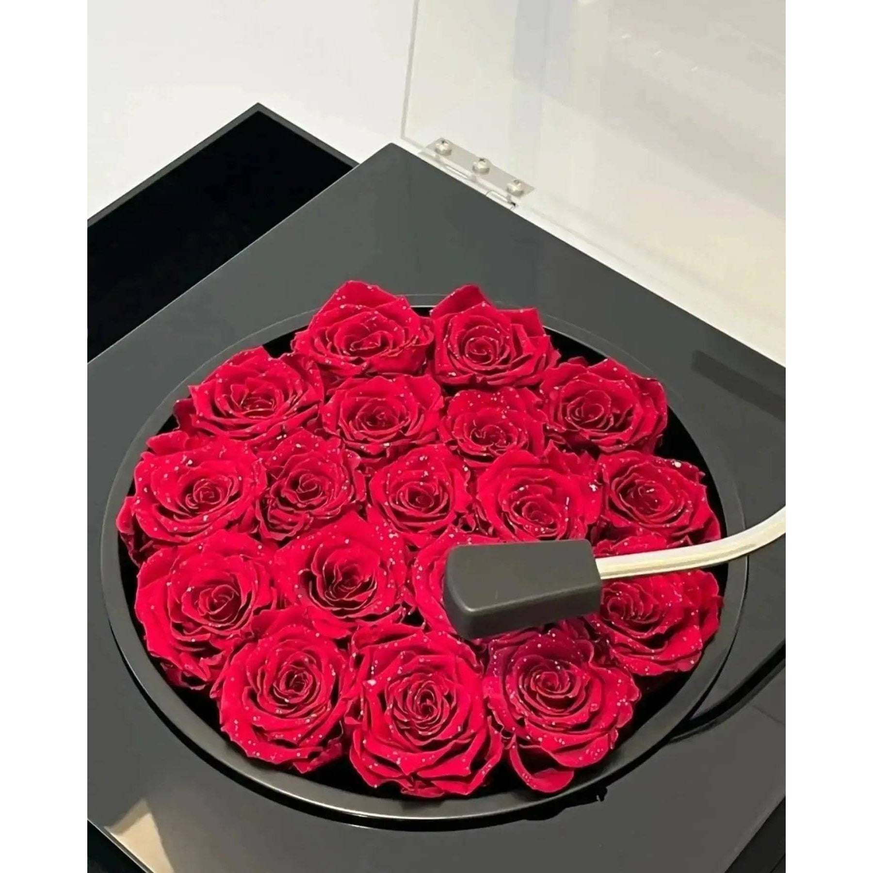 RoseTunes Forever Roses Bluetooth Speaker - Imaginary Worlds